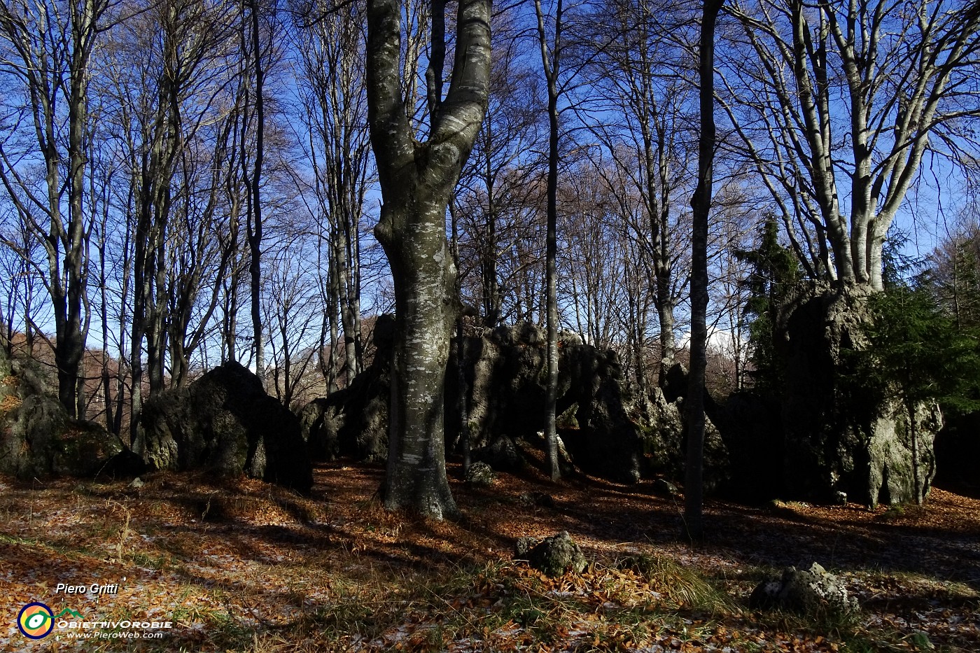 18 Faggi secolari e caratteristiche formazioni rocciose.JPG